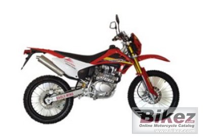 2010 Eagle-Wing PY 250 Red photo